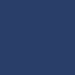 couleur bleu marine.png