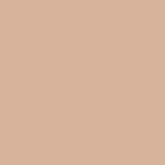 couleur chair.png