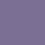 couleur parme.png